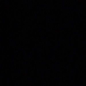 Meet your Posher, Cesar